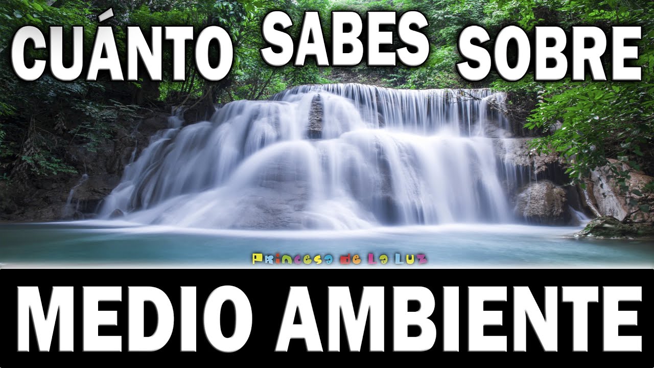 15 Preguntas Sobre El Medio Ambiente Para Niños De Primaria