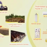 climate_change_causes