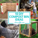 compost_bin_ideas