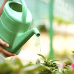 Los Increíbles Beneficios de la Conservación del Agua conservacion_del_agua_benefits