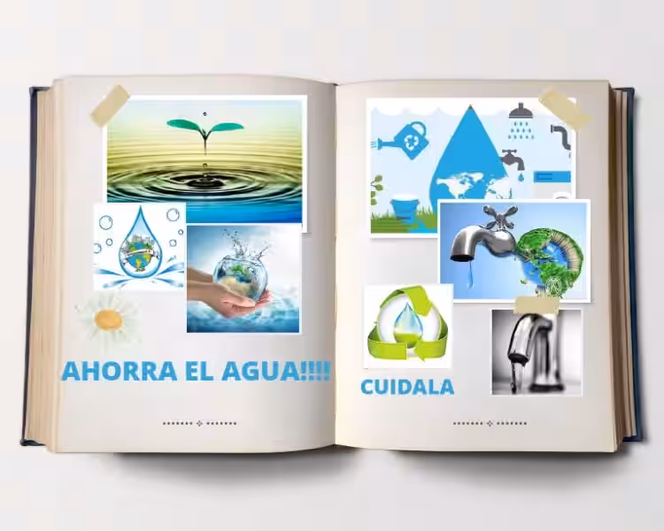conservacion_del_agua_for_beginners