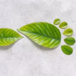 huella_de_carbono_benefits