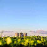 soluciones_al_cambio_climatico