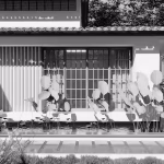 Construyendo un Futuro Verde: Arquitectura Sostenible para Todos sustainable_architecture