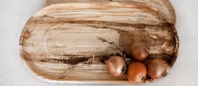 utensilios_compostables