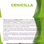 agua-carbonatada-natural