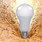 La Cascara del Arroz: Un Recurso Multifacético en la Agricultura y la Alimentación cascara-del-arroz