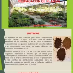 Fertilizantes Químicos: Alimentando el Mundo, Un Análisis Profundo quimica-fertilizantes