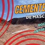 recogida-animales-muertos