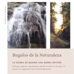 regalos-naturales