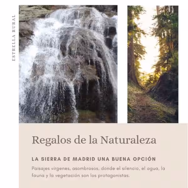 Descubre la Magia de los Regalos Naturales