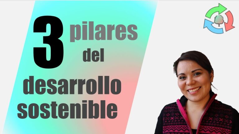 Descubre los 4 Pilares del Ambiente: Conoce los Elementos Clave para un