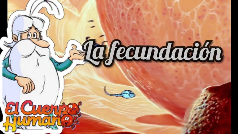 Cuentos para niños sobre la reproducción humana: Una guía divertida y