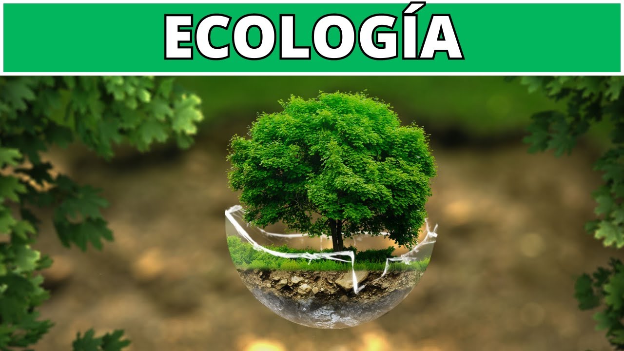 La Importancia de la Ecología en la Actualidad: ¿Por Qué es Fundamental
